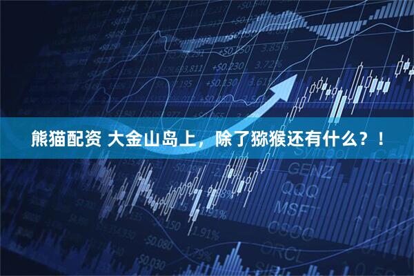 熊猫配资 大金山岛上，除了猕猴还有什么？！